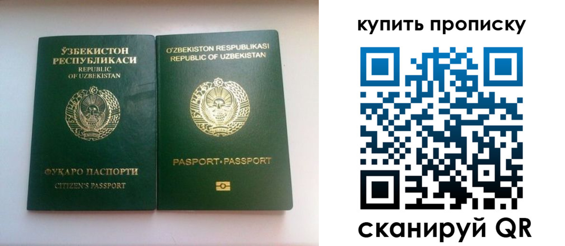прописка в квартире в Новопавловске